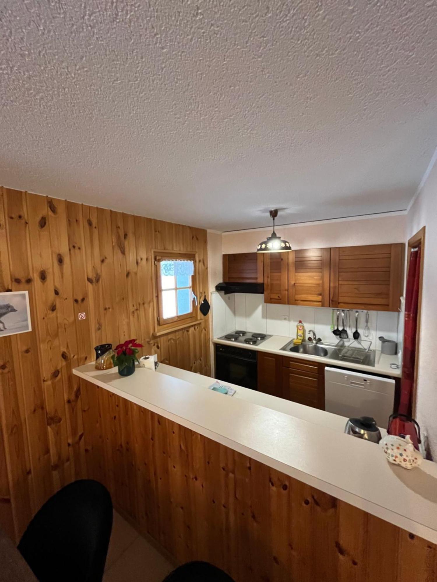 L'Herensarde, Bel Appartement Avec Jardin-Terrasse Et Garage Evolène Dış mekan fotoğraf